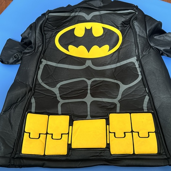 Batman Costume - Picture 6 of 8